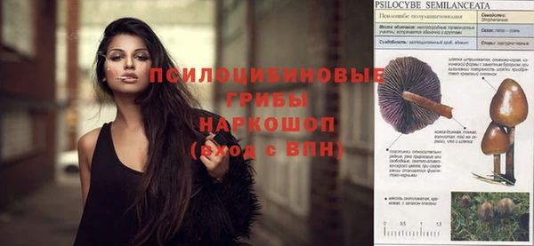 прущий лед Осташков