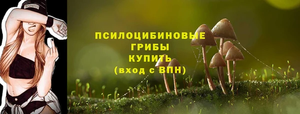 кристаллы Осинники