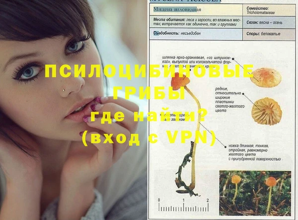 кристаллы Осинники