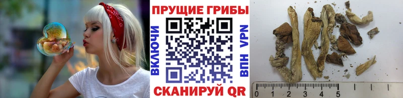 купить наркотики сайты  Фурманов  Галлюциногенные грибы ЛСД 