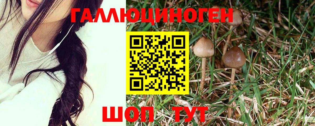 Фурманов  Псилоцибиновые грибы ЛСД  Вход с VPN 